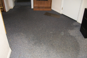 You can see the carpet is clearly saturated with water